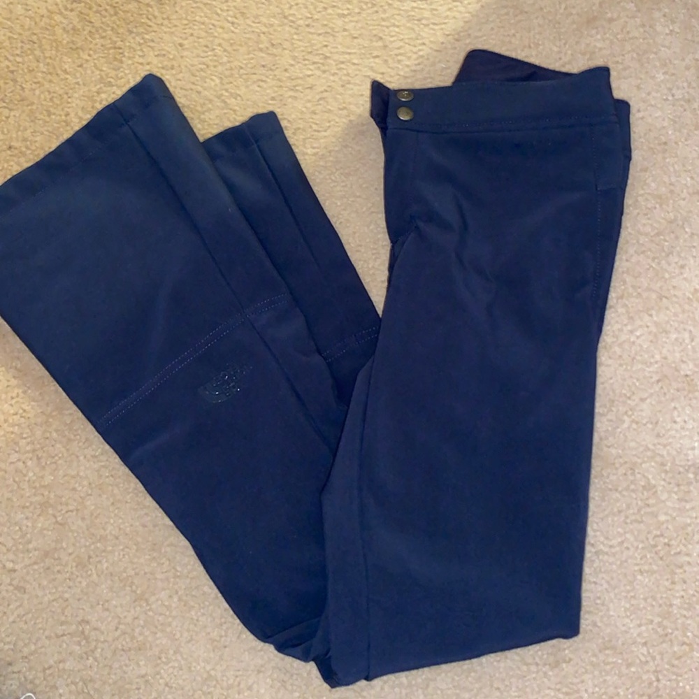 The NorthFace Apex Snowpants